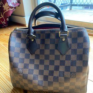 Louis Vuitton Speedy Bag 25